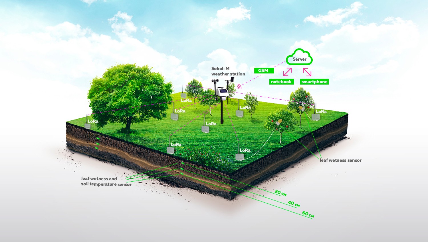 Sokol-M weather station for solving agricultural problems