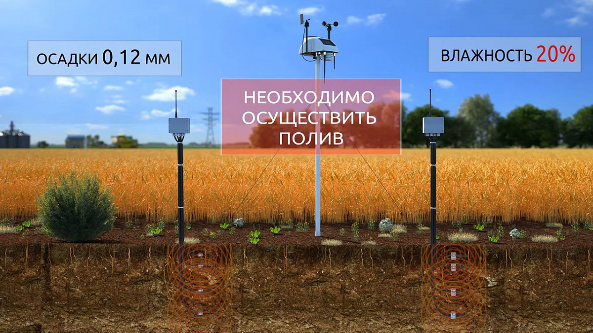 Новый видеообзор Сокол-М: функции и возможности профессиональной метеостанции в различных отраслях